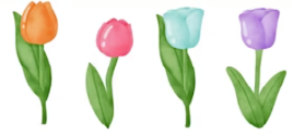 2023 03 22 4 tulips 2