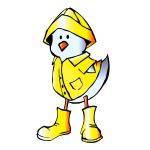 RainyChick