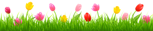 spring border 1