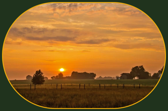 2022 06 15 Morning sun 1