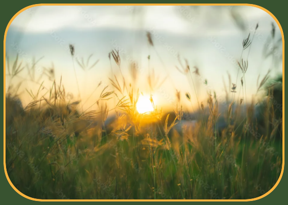 2025 08 20 Setting sun