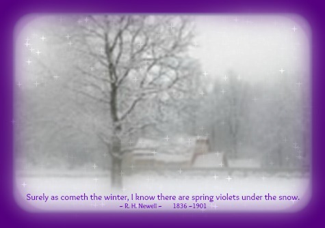 2014-02-05 snow_image