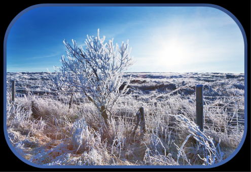 2017 12 06 landscape frost