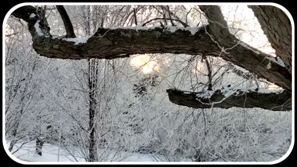 2020 12 31 frosty morning