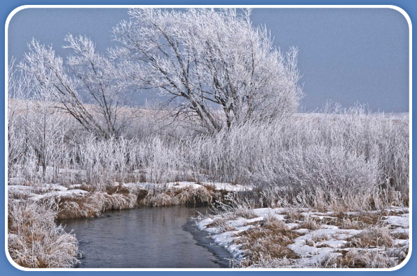 2021 12 29 Winter Stream quote 2