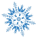 Snowflake 7