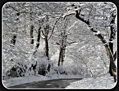 winter