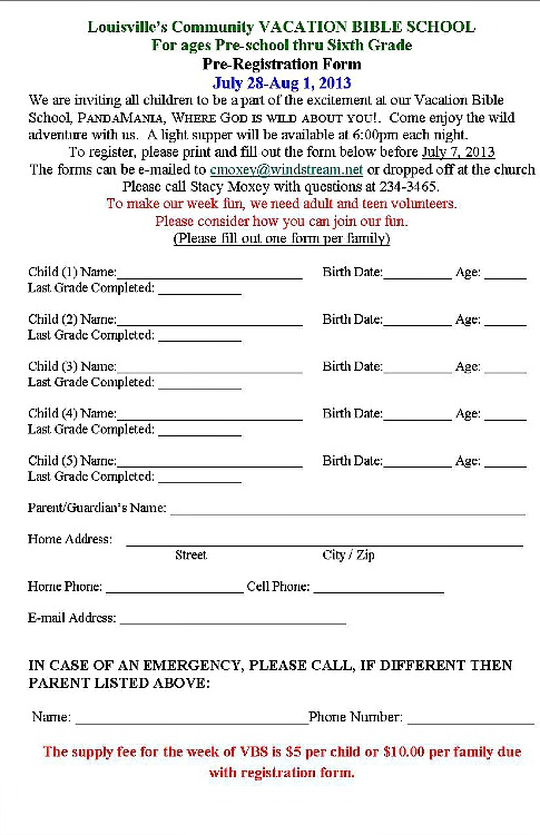 2013-06-19 VBS_application