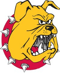 bully45