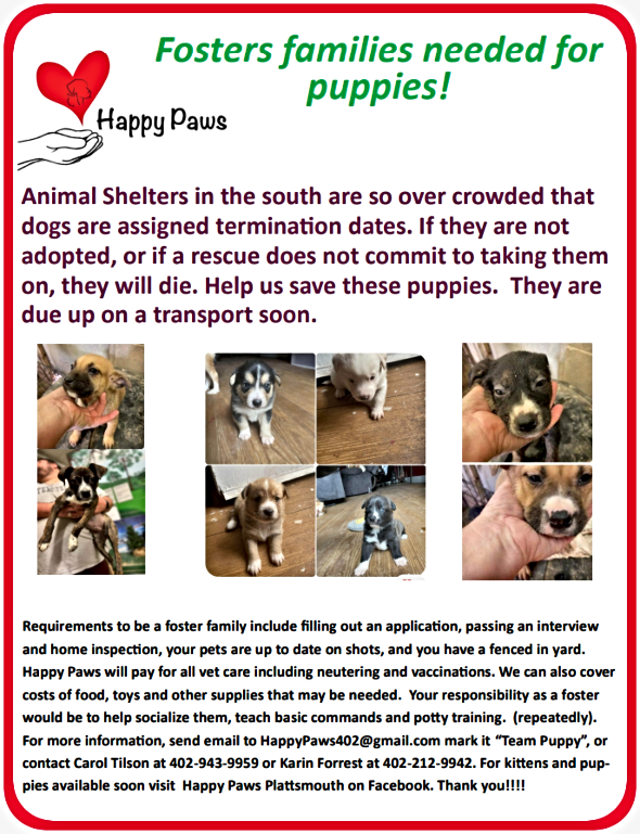 2023 03 01 Happy Paws fosters 1