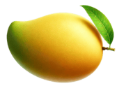 MANGO 1 1