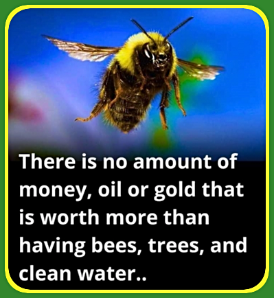 2024 03 06 BEES 1