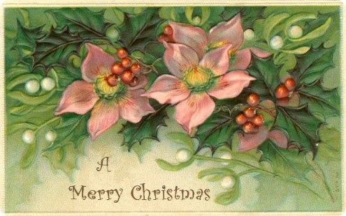 2015-12-23 pink-christmas-flowers