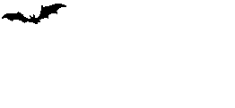 ANIbat2