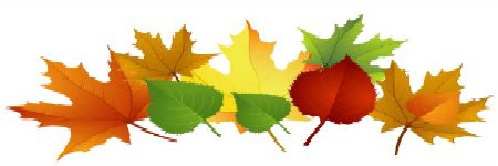 2015-09-09 MCC_FALL_LEAVES