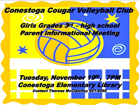 2013-11-13 CC_VOLLEYBALL