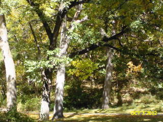 2012-10-03 Waubonsie