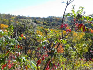 2012-10-03 Waubonsie_St_Prk