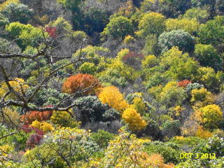 2012-10-03 Waubonsie_lookout