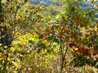 2012-10-03 Waubonsie_st_park