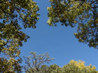 Waubonsie St._Park_2